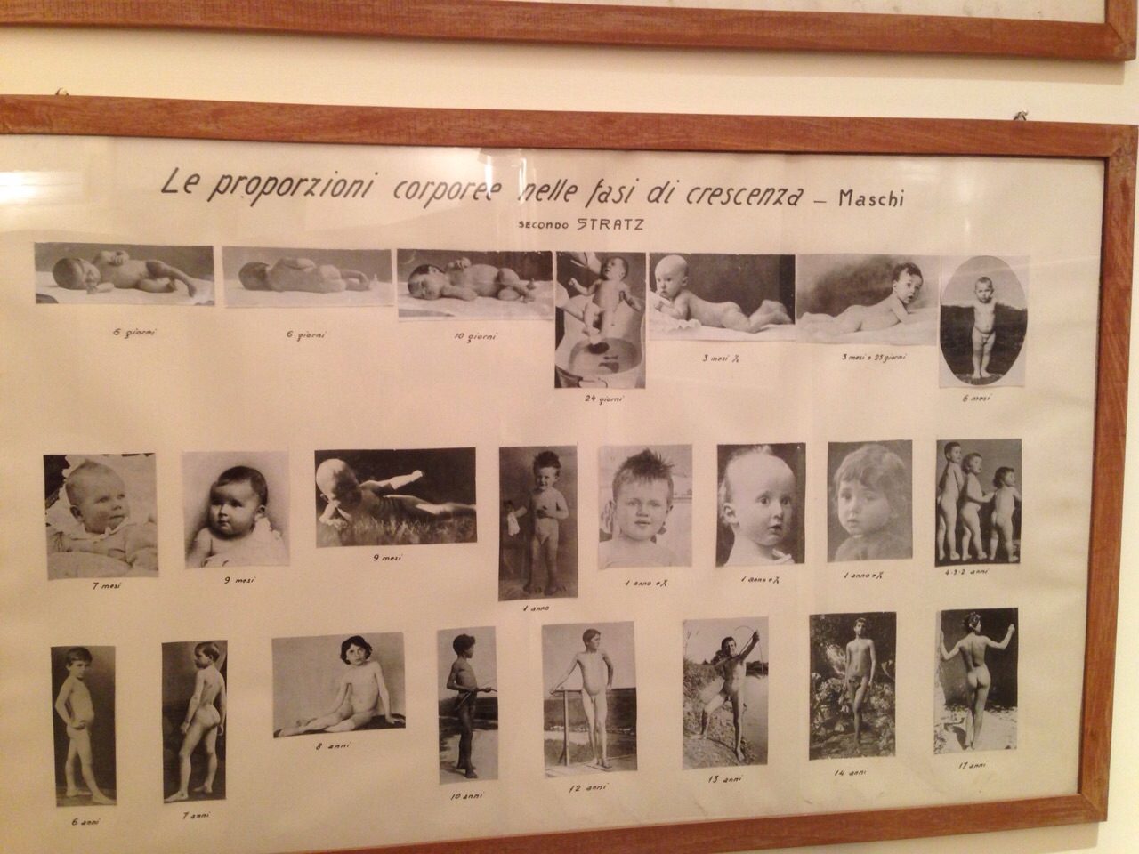 Nicola Pende's medical pictures (2).jpg
